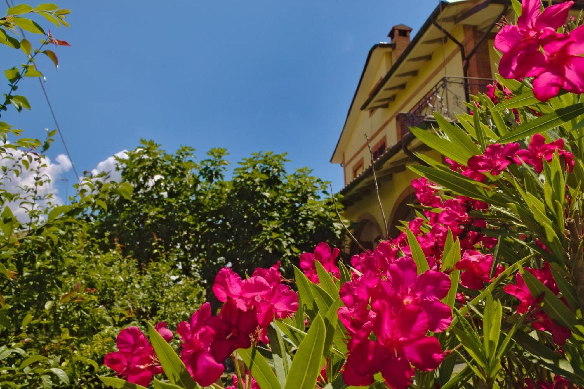 Cetine Vecchie Villa Торита ди Сиена Екстериор снимка